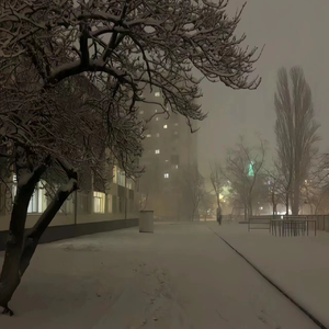 国产亚洲精品精品2020
